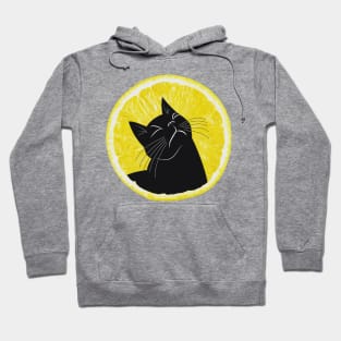 Summer Lemon Cat Hoodie